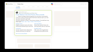 Search Campaigns example